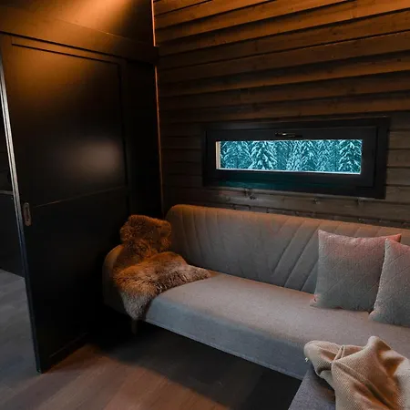 Nature For Remote Work And Adventures In Yllas * Ylläsjärvi