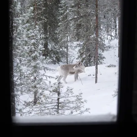 Nature For Remote Work And Adventures In Yllas *