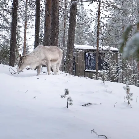 Nature For Remote Work And Adventures In Yllas Loma-asunnot Kolari